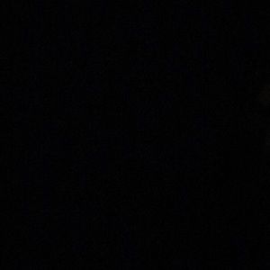 Meet your Posher, Rena